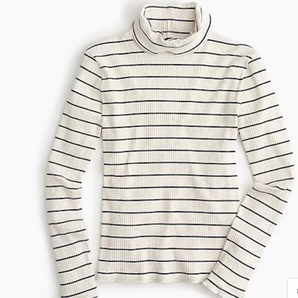 J. Crew Turtleneck